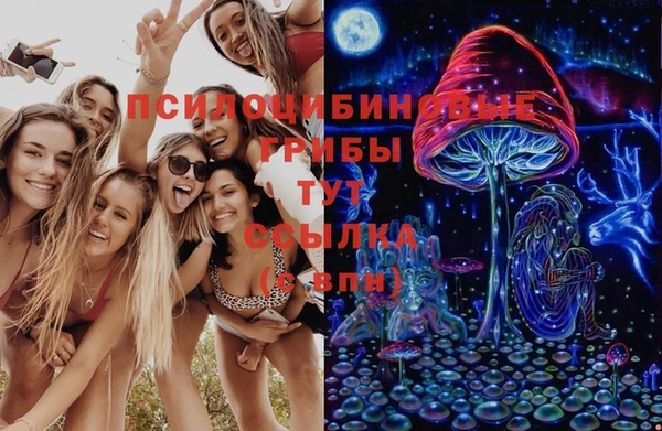 PSILOCYBIN Арсеньев
