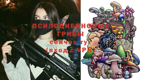 PSILOCYBIN Арсеньев