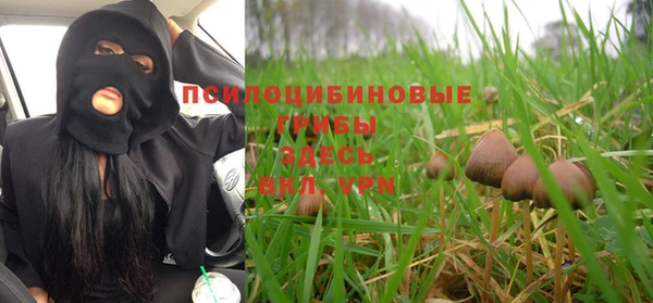 каннабис Аркадак